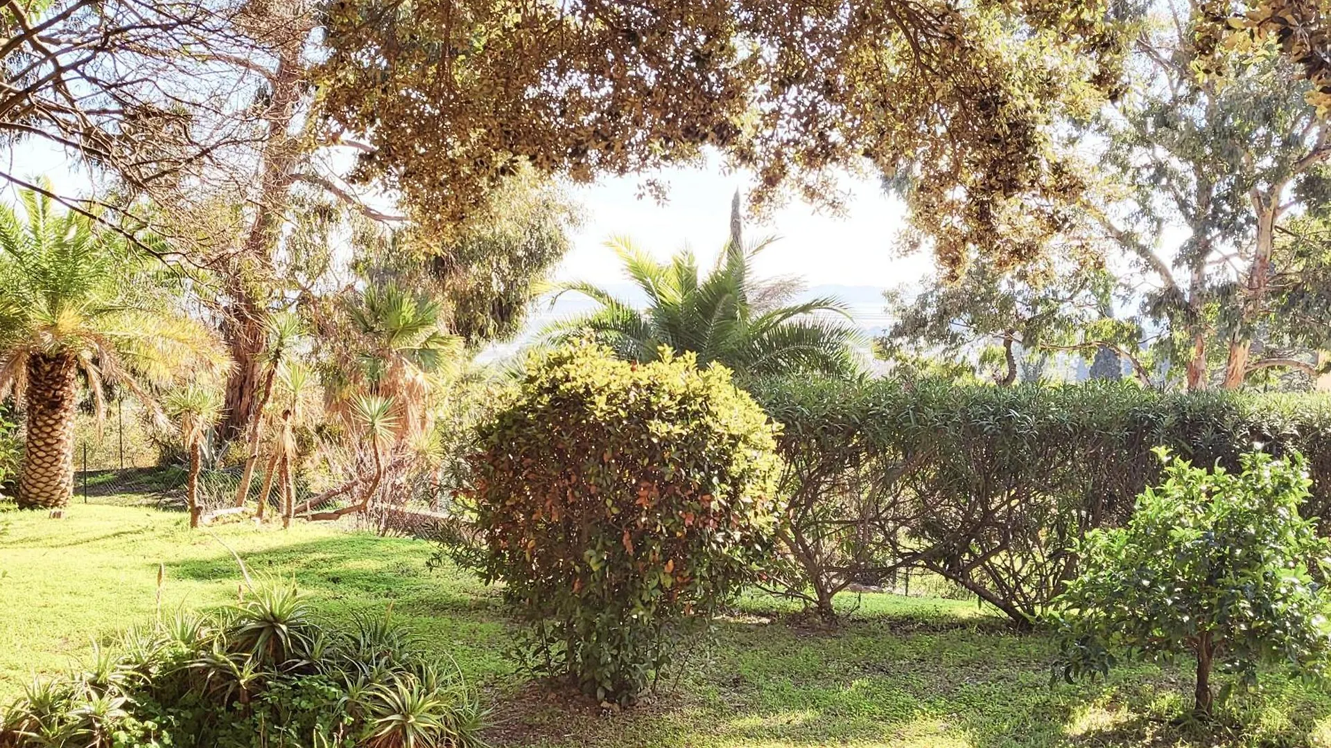 La Suite Costabella A Hyeres-Les-Palmiers فرنسا